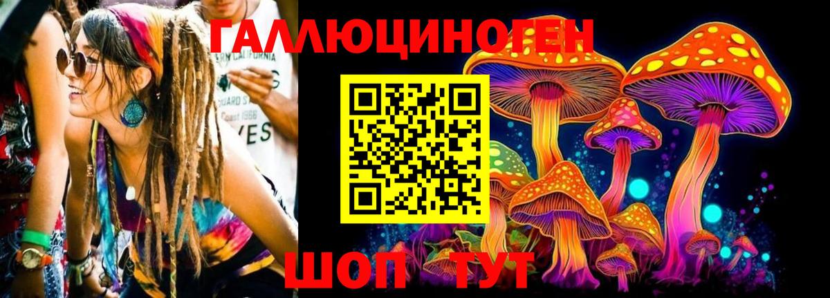 Воскресенск  Псилоцибиновые грибы прущие грибы  Вход с VPN 